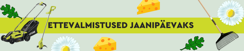 EE-1-ETTEVALMISTUSED JAANIPÄEVAKS